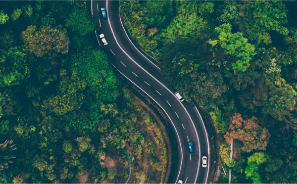 Top-view of cars driving in the woods